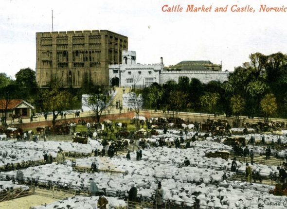 norwich-social-history